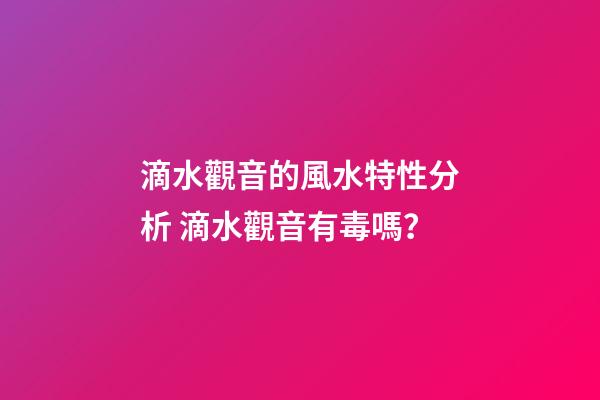 滴水觀音的風水特性分析 滴水觀音有毒嗎？
